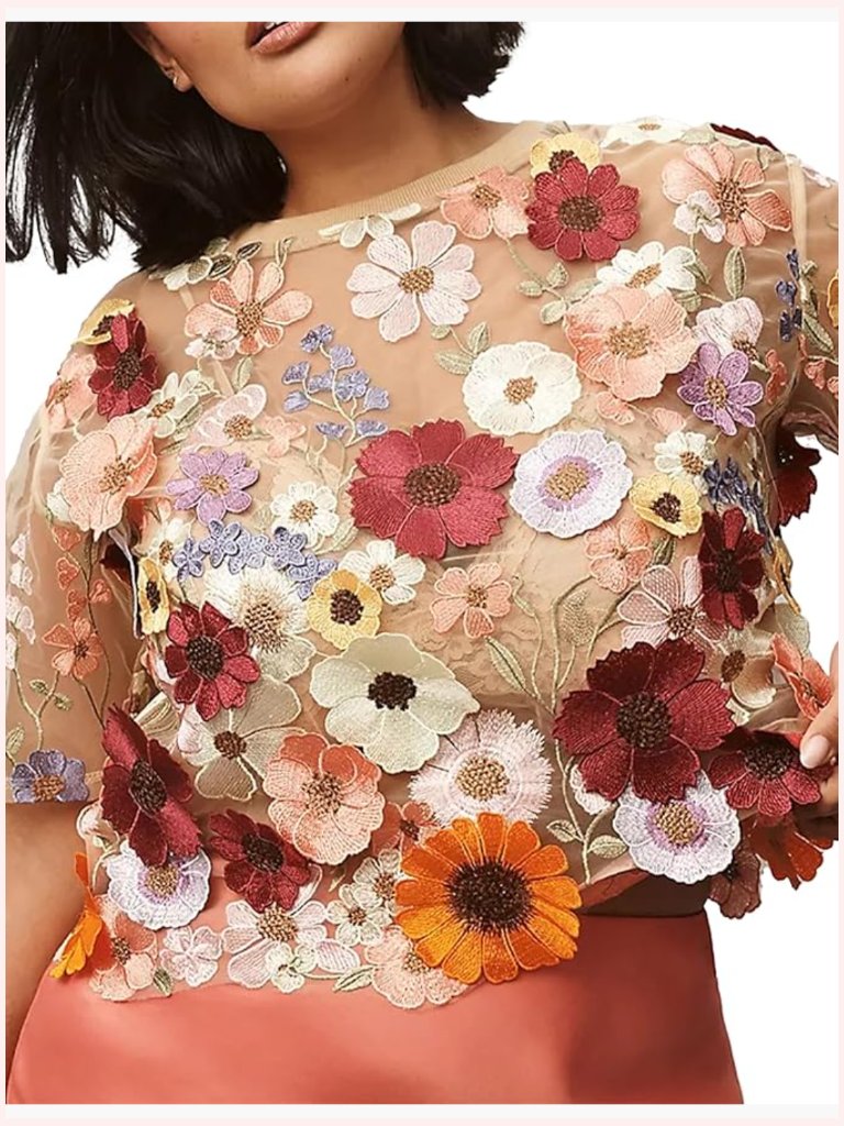 3d Floral Embroidered Sheer Lace Short Sleeve Blouse